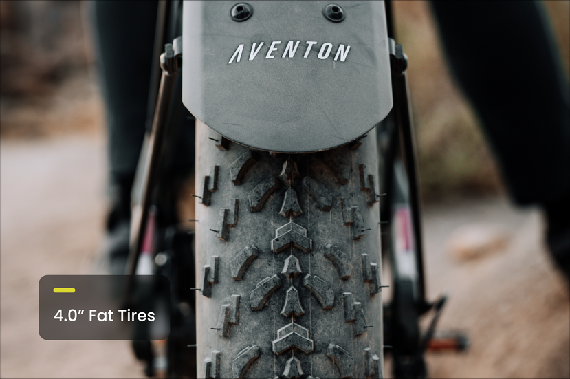 Aventon Aventure M Electric Bike Frame Detail
