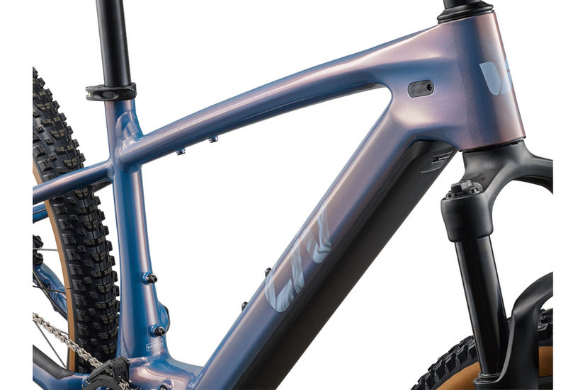 Liv Tempt E 2026 Mountain Bike Detail 04