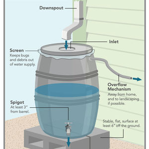 Rainwater Harvesting Consultation