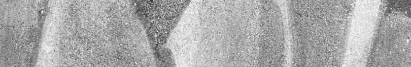 selva-zoom_SLOW.gif