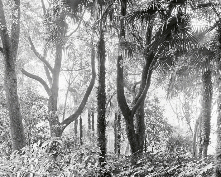WORKS_slow_20x25.gif