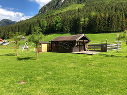 Streichelzoo im Garten