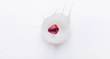 Food Photography