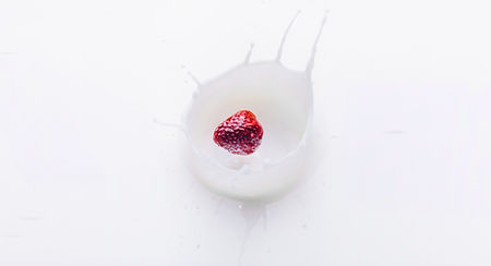 Food Photography