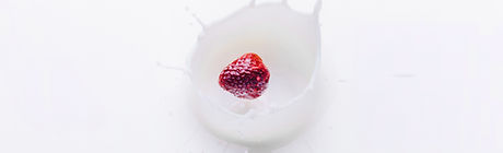 Food Photography
