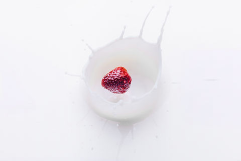 Food Photography