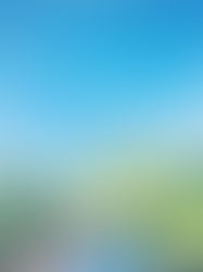 At a distance spring is green 