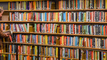 Searching for books by label in the library 