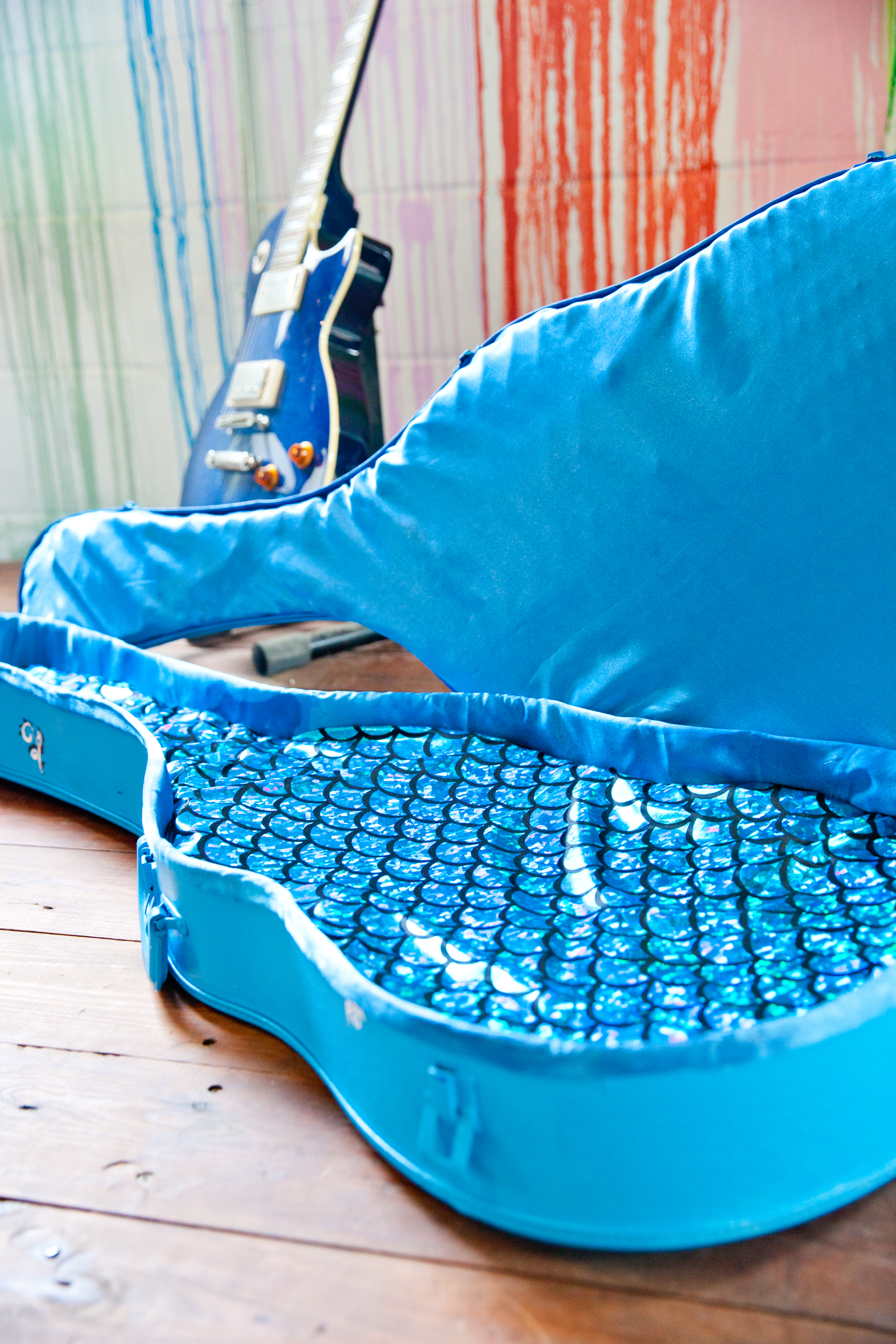 Custom Cat Bed Guitar Case