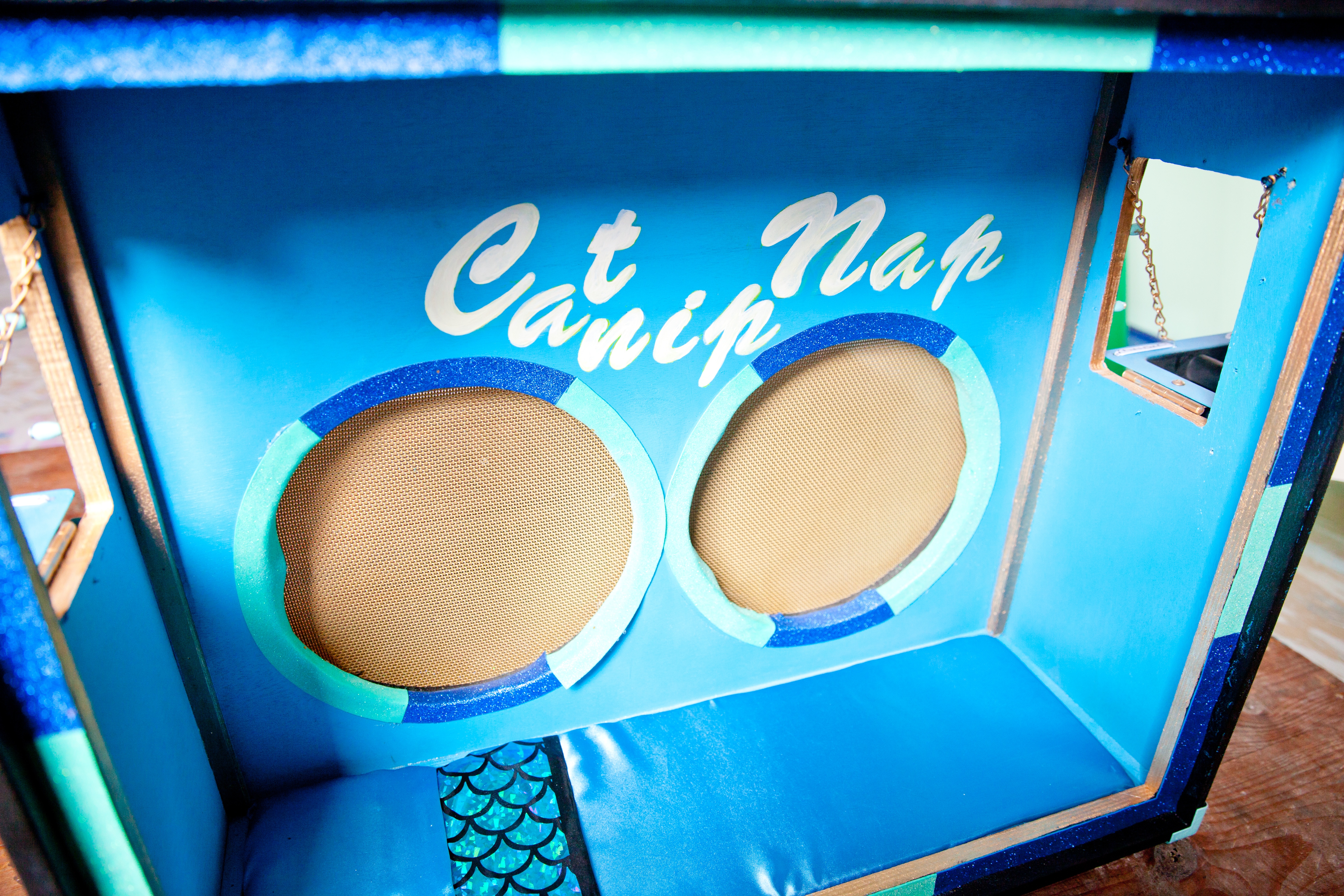 Custom Cat Bed Guitar Amp