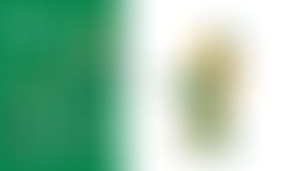 Lepao H800 Armed Robot