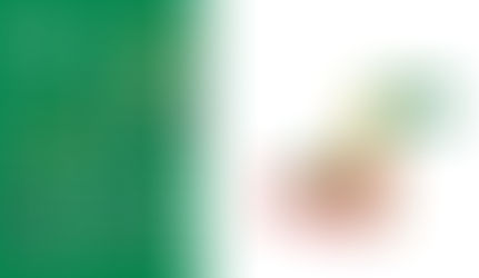 Lepao H800 BULLDOZER