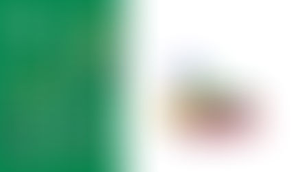 Lepao H800 LIFT TRUCK