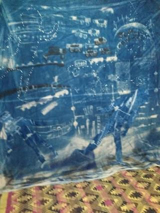 12x 14 feet, Cyanotype on fabric.