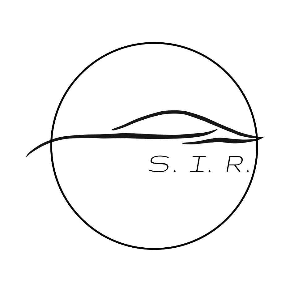S.I.R. - Stern Interior Repairs