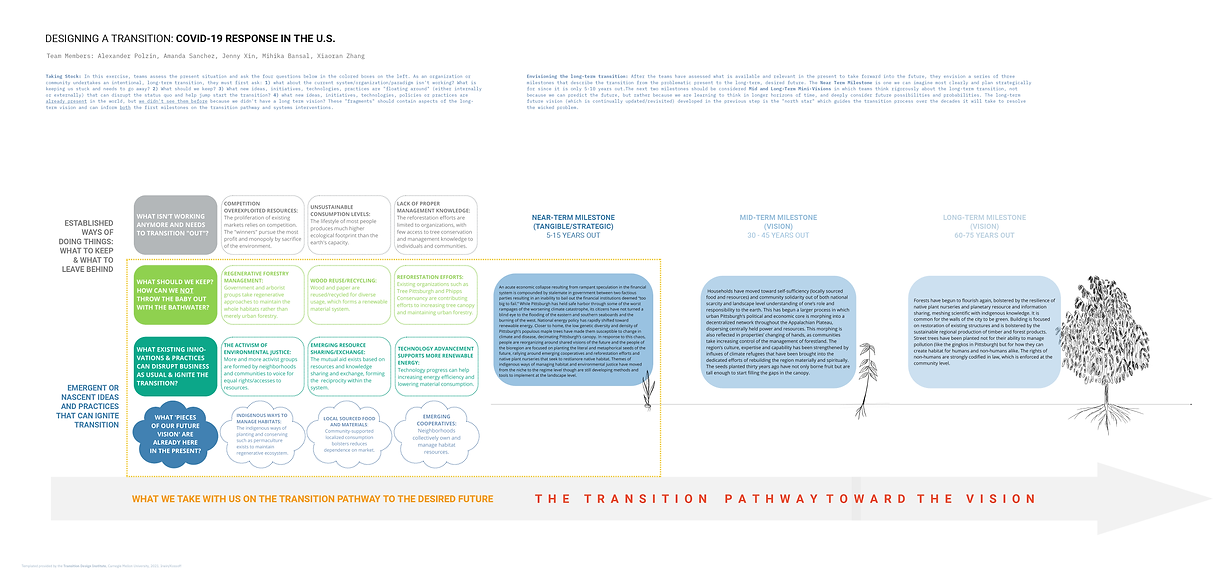 Team Resilience - Assignment #3.2 Backcasting & Mile-Stoning (The transition pathway).