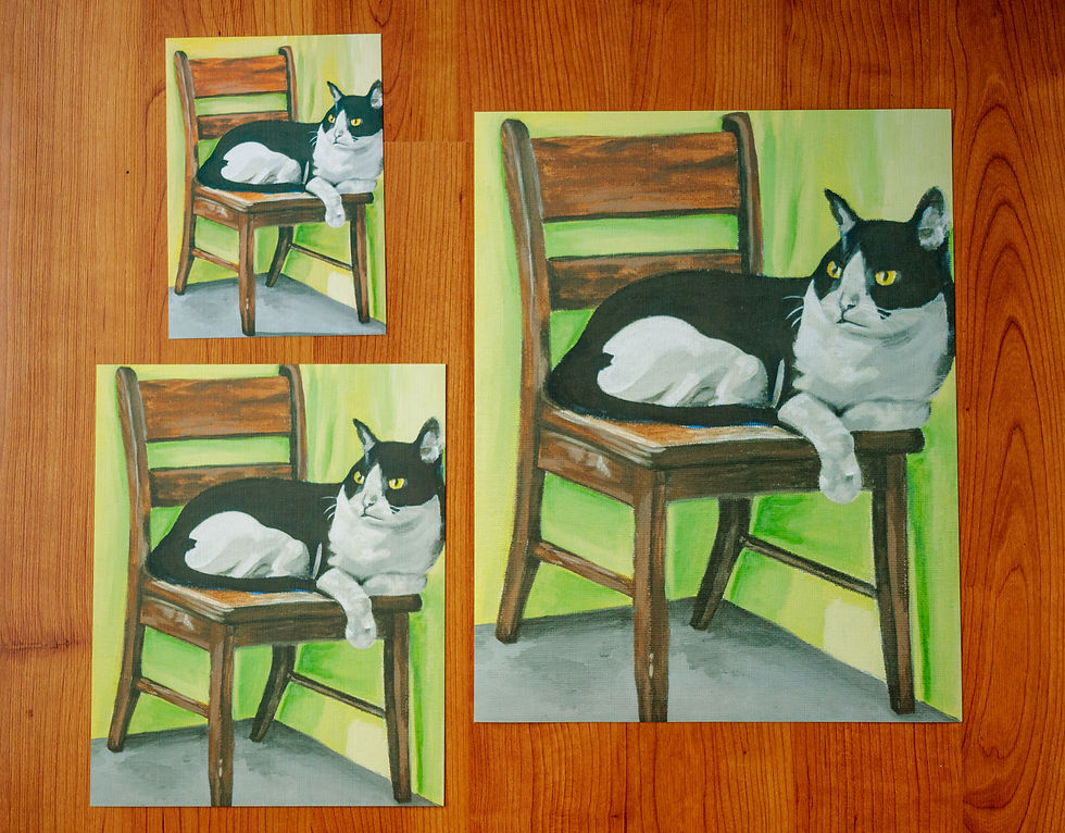 three sizes of prints of a black and white cat on a cherry red chair with a gray floor and green wall.