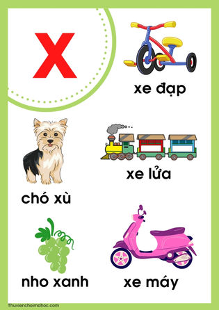 Poster nhận biết từ vựng có chữ cái x | cỡ A4
