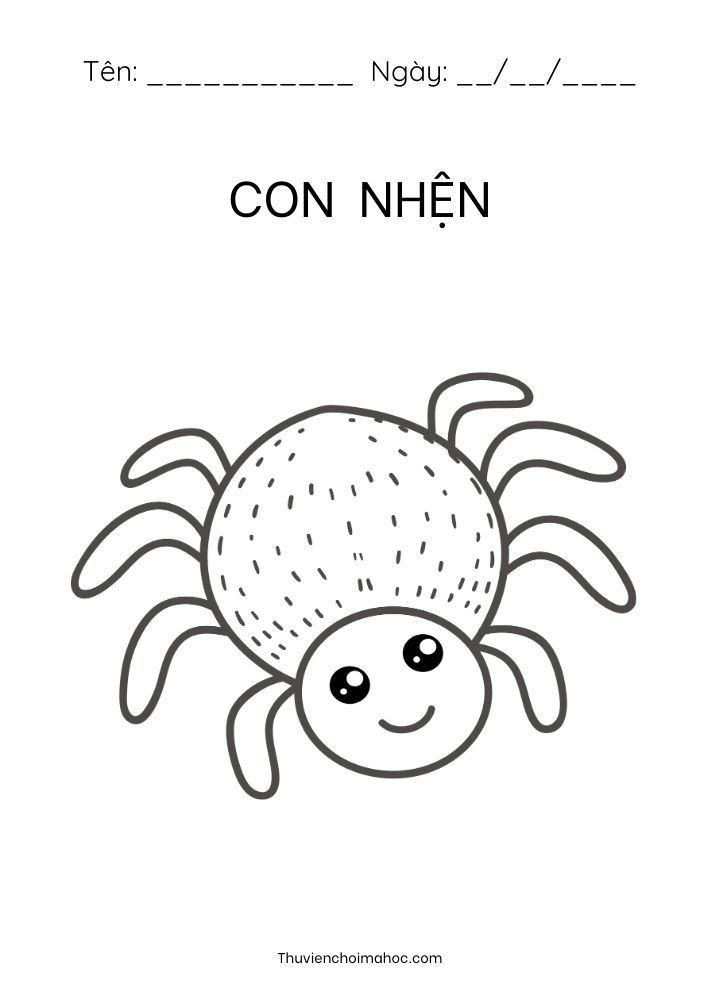 HÌnh vẽ con nhện
