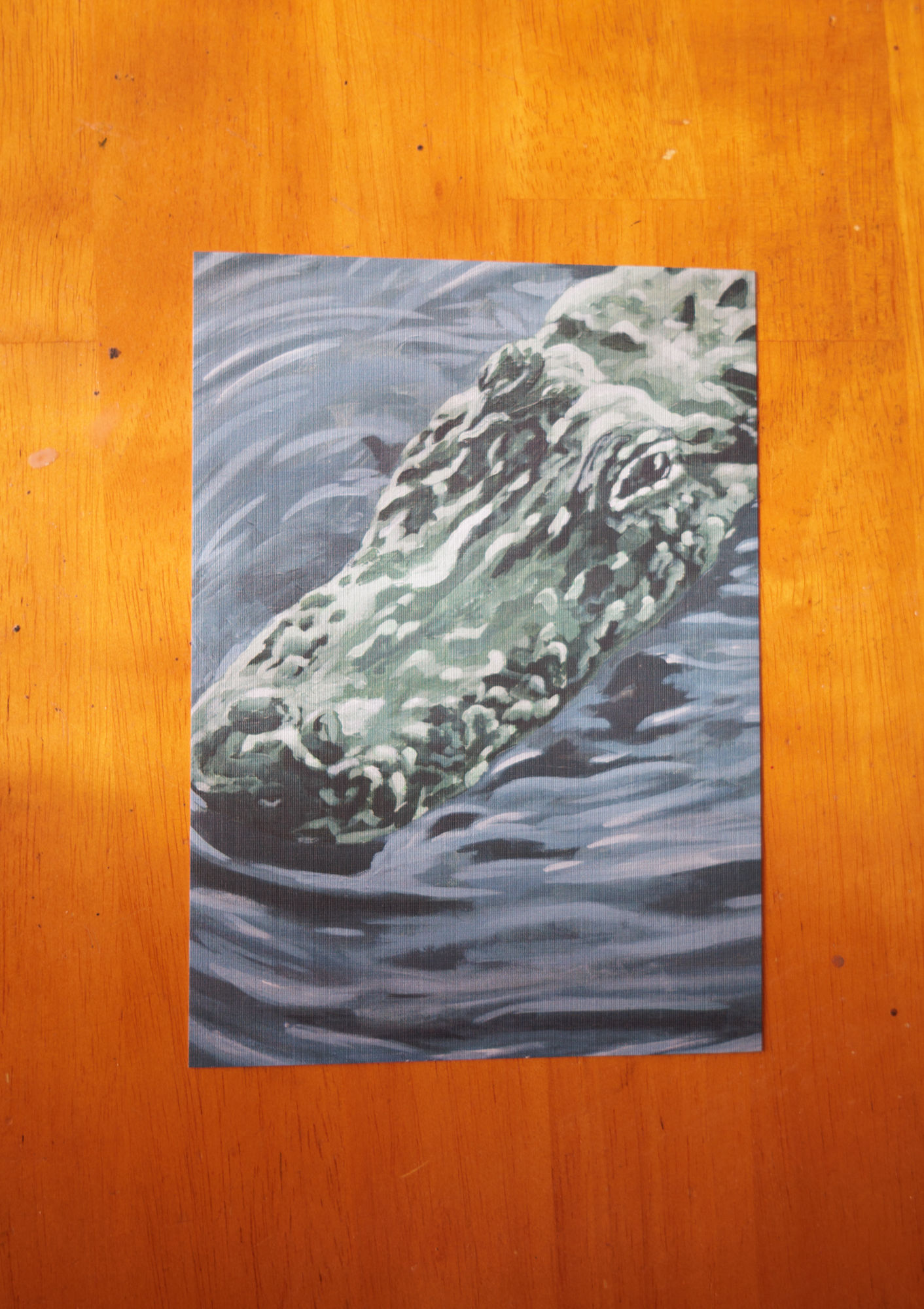 green alligator in blue, rippling water