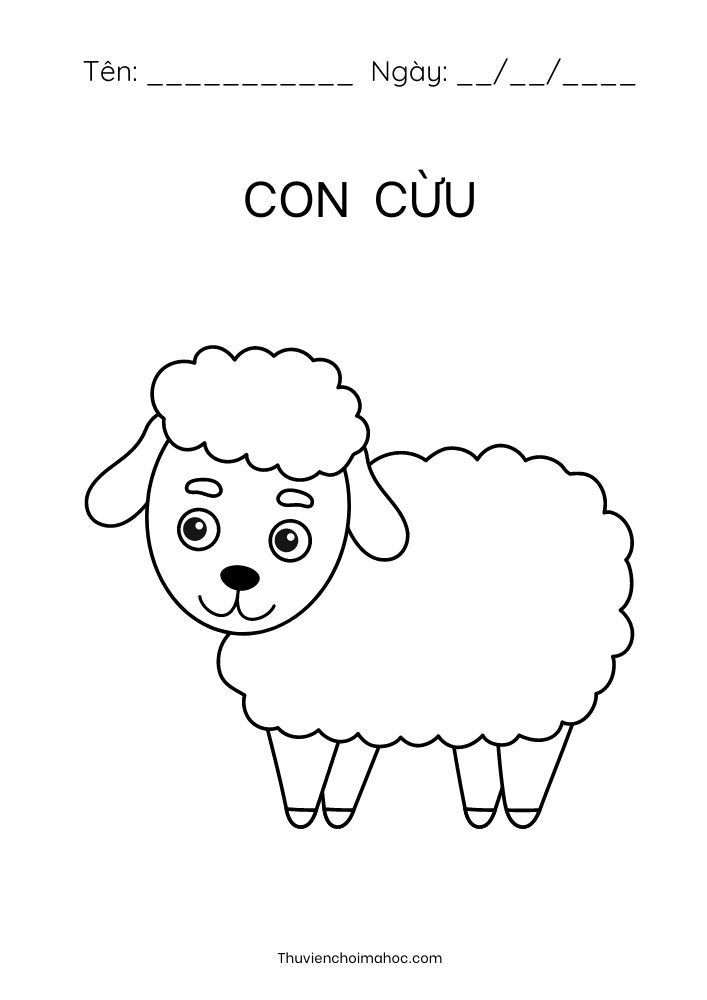 hình vẽ con cừu