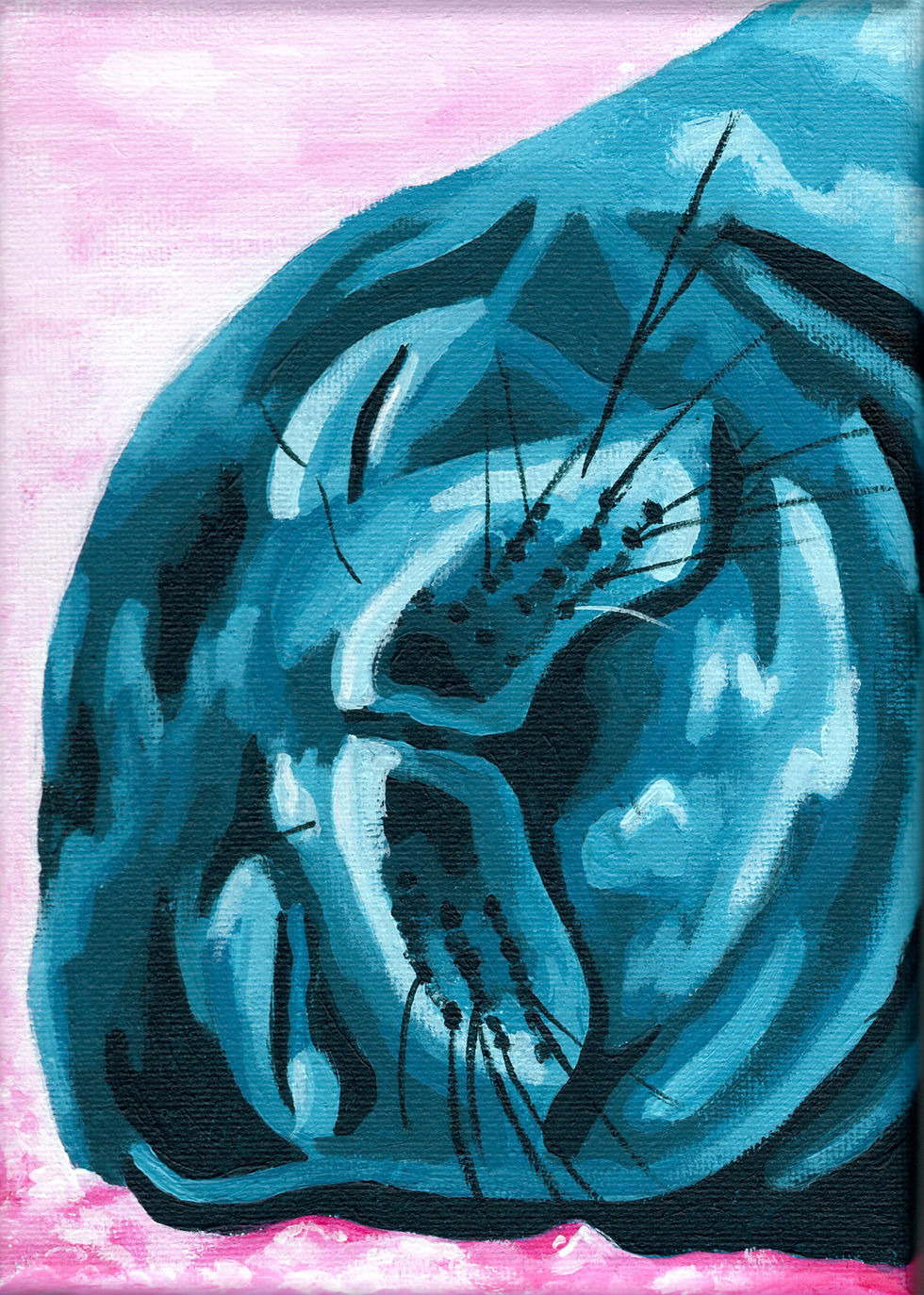 sleepy blue seal sleeping on pink snow