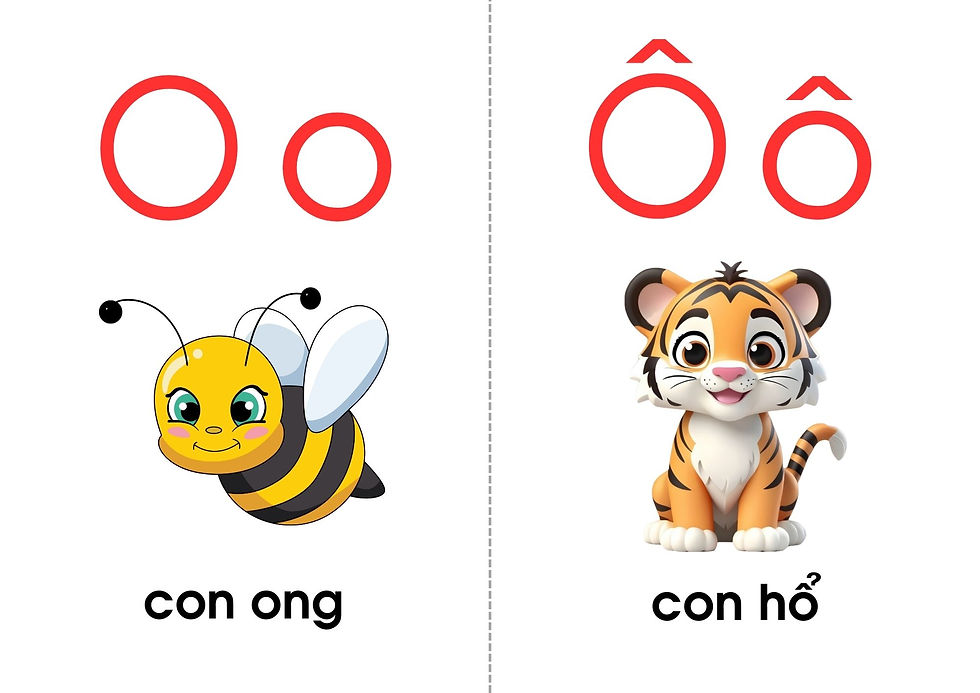 Thẻ chữ cái o ô có từ vựng minh hoạ con ong và con hổ theo bài hát abc tiếng việt