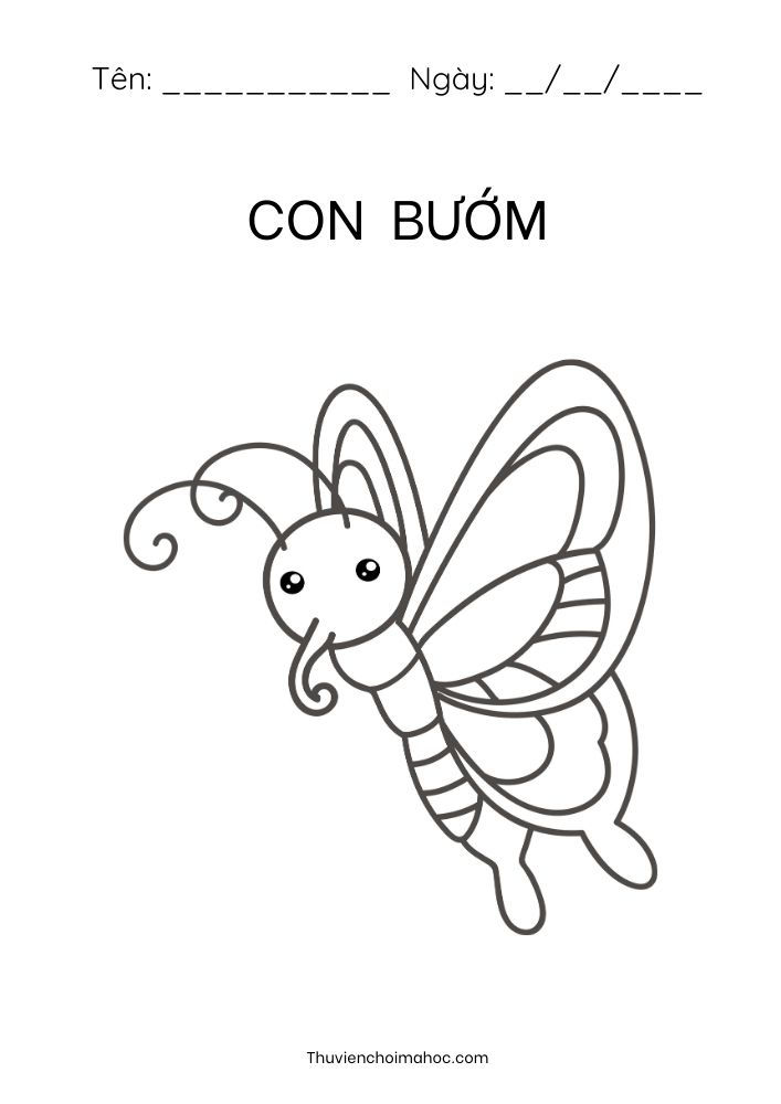 Hình vẽ con bướm