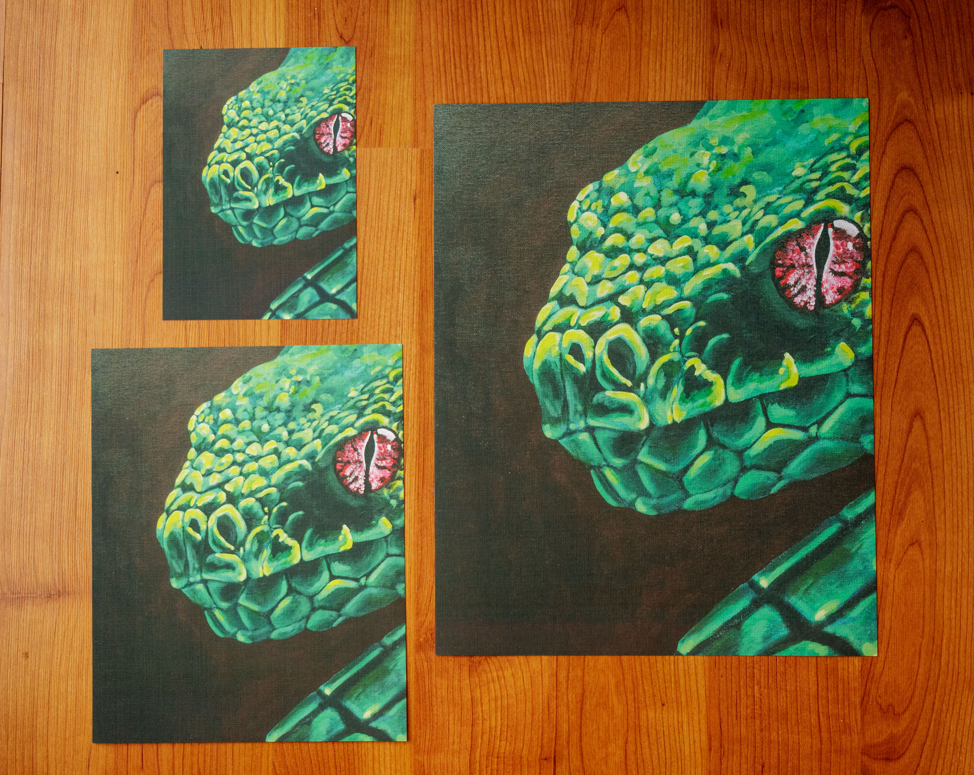 three sizes of prints of a green snake with a red eye on a brown and black gradient background