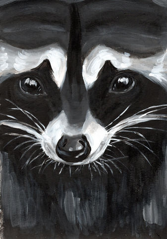 close up painting of a raccoon's face