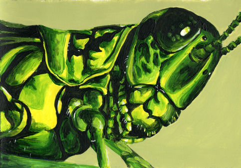 close up painting of a green, yellow, and black grasshopper