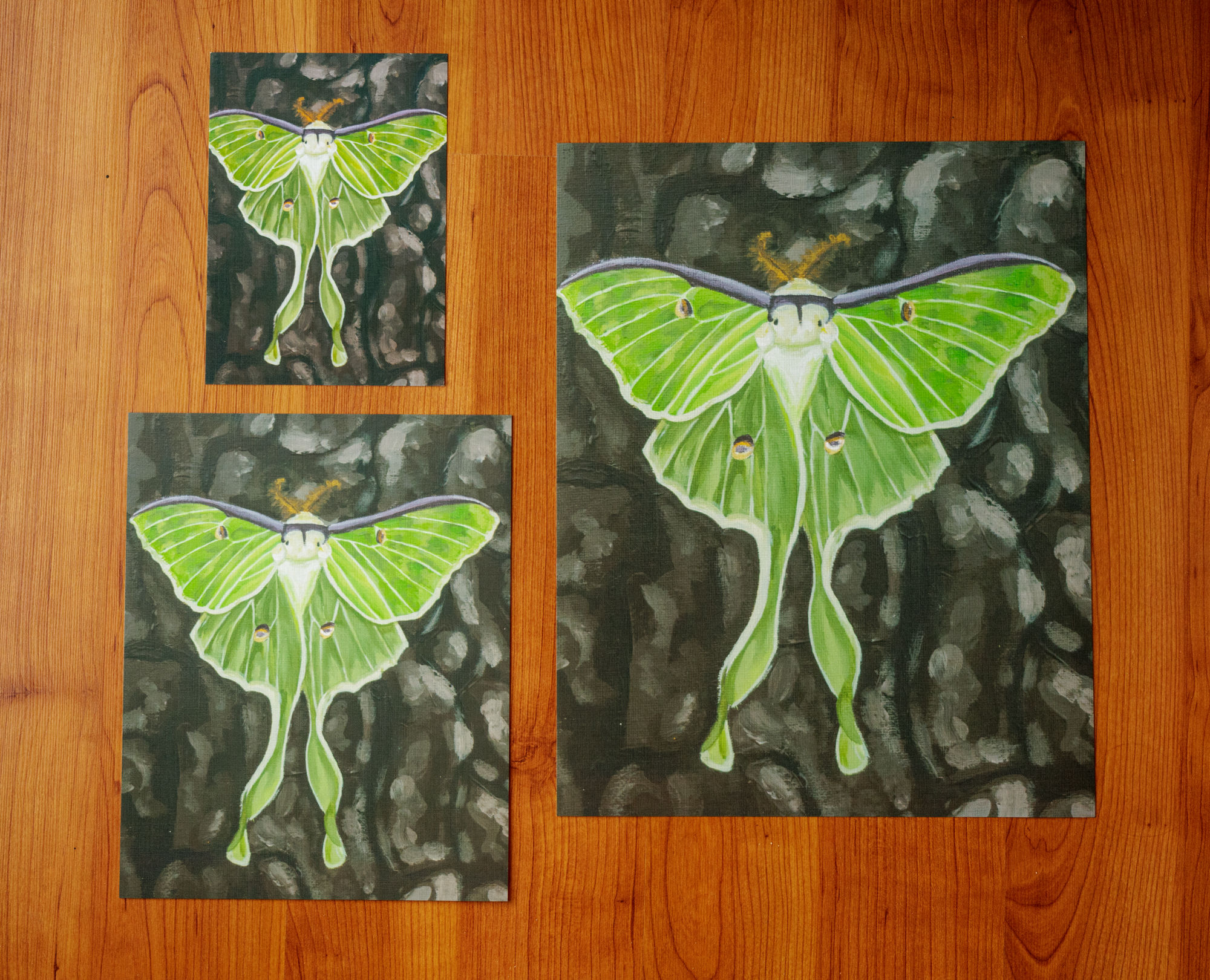 three sizes of prints of a green luna moth on a tree