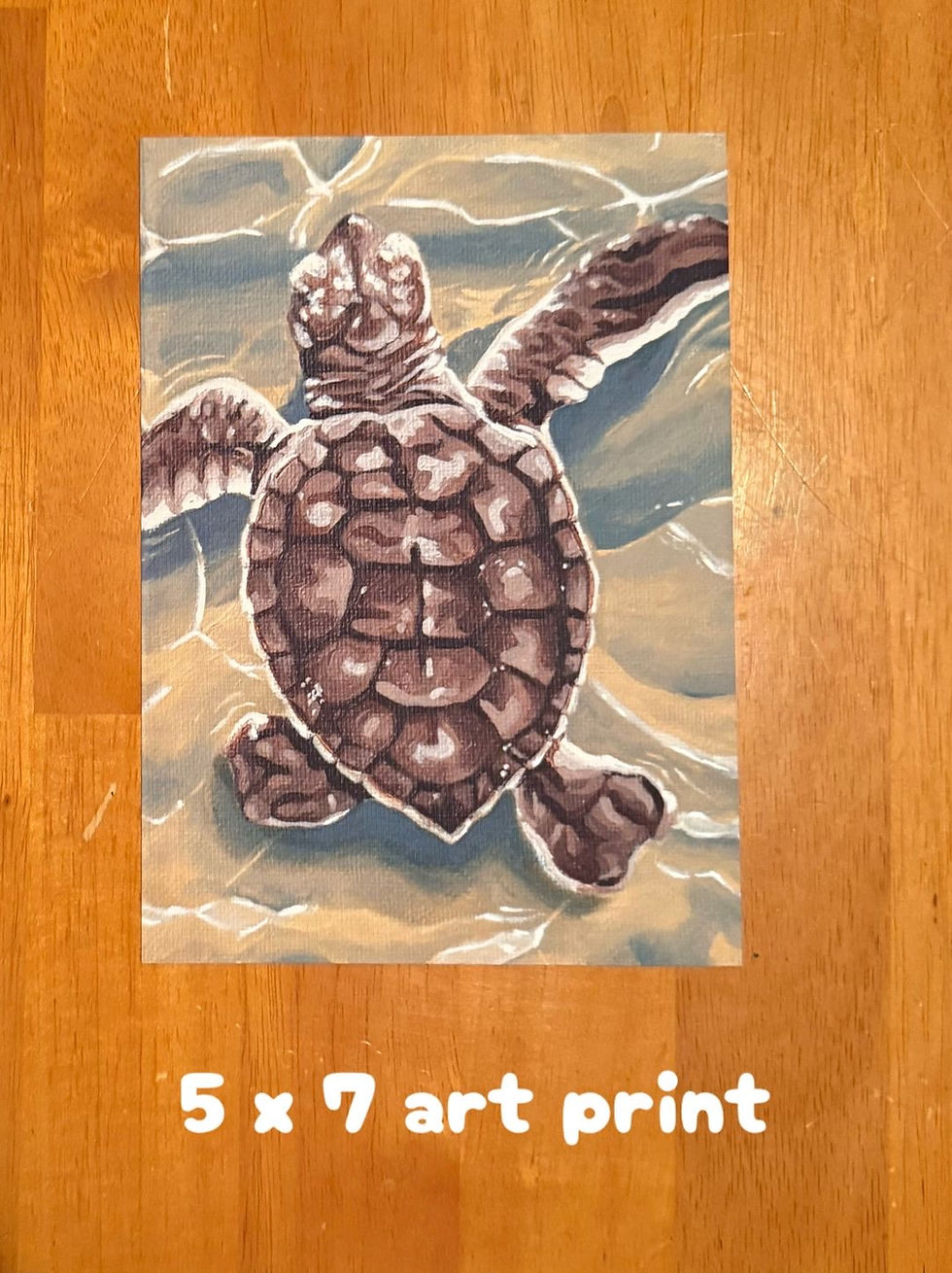 print of brown turtle walking in shallow water over sand