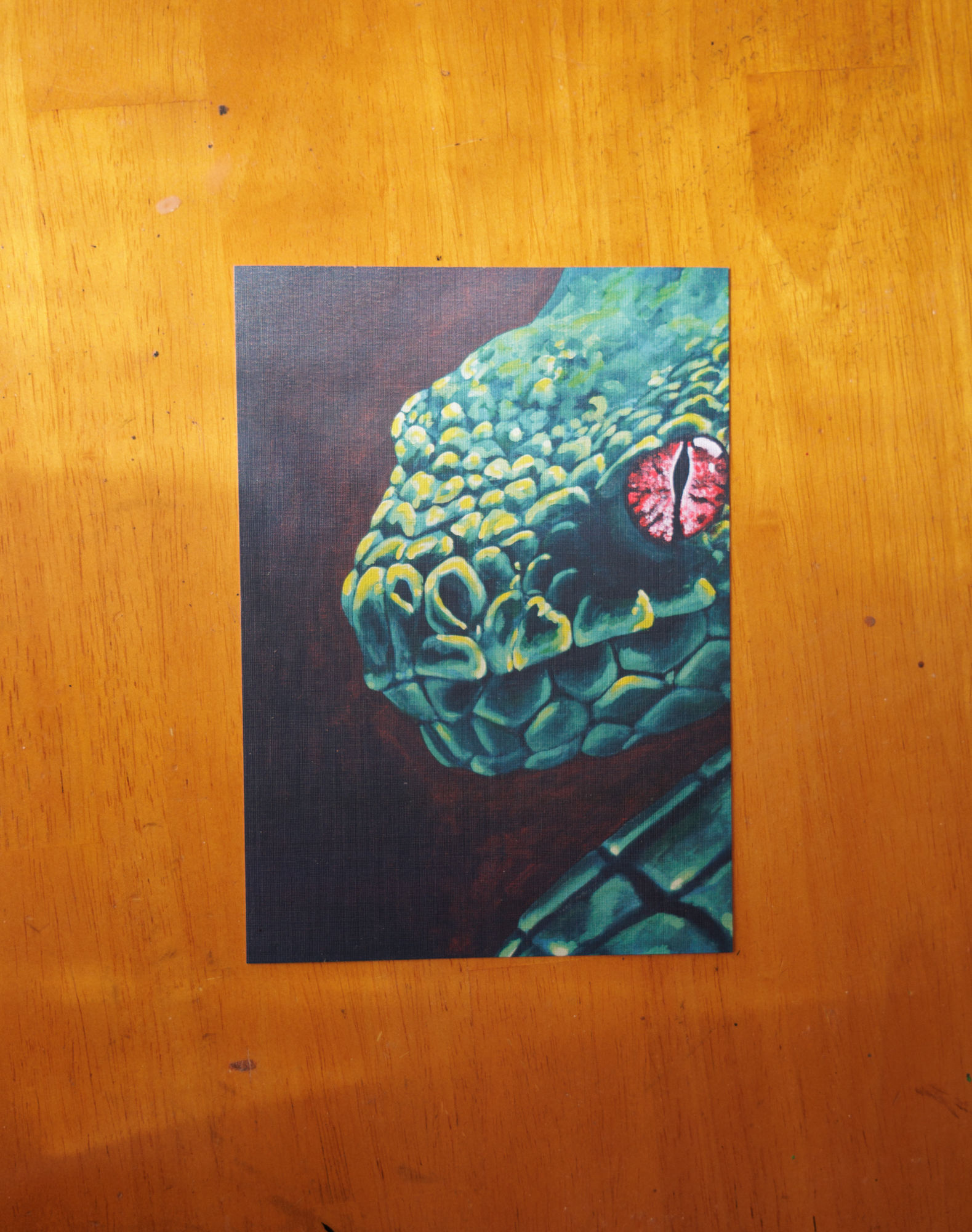 a green snake with a red eye on a brown and black gradient background