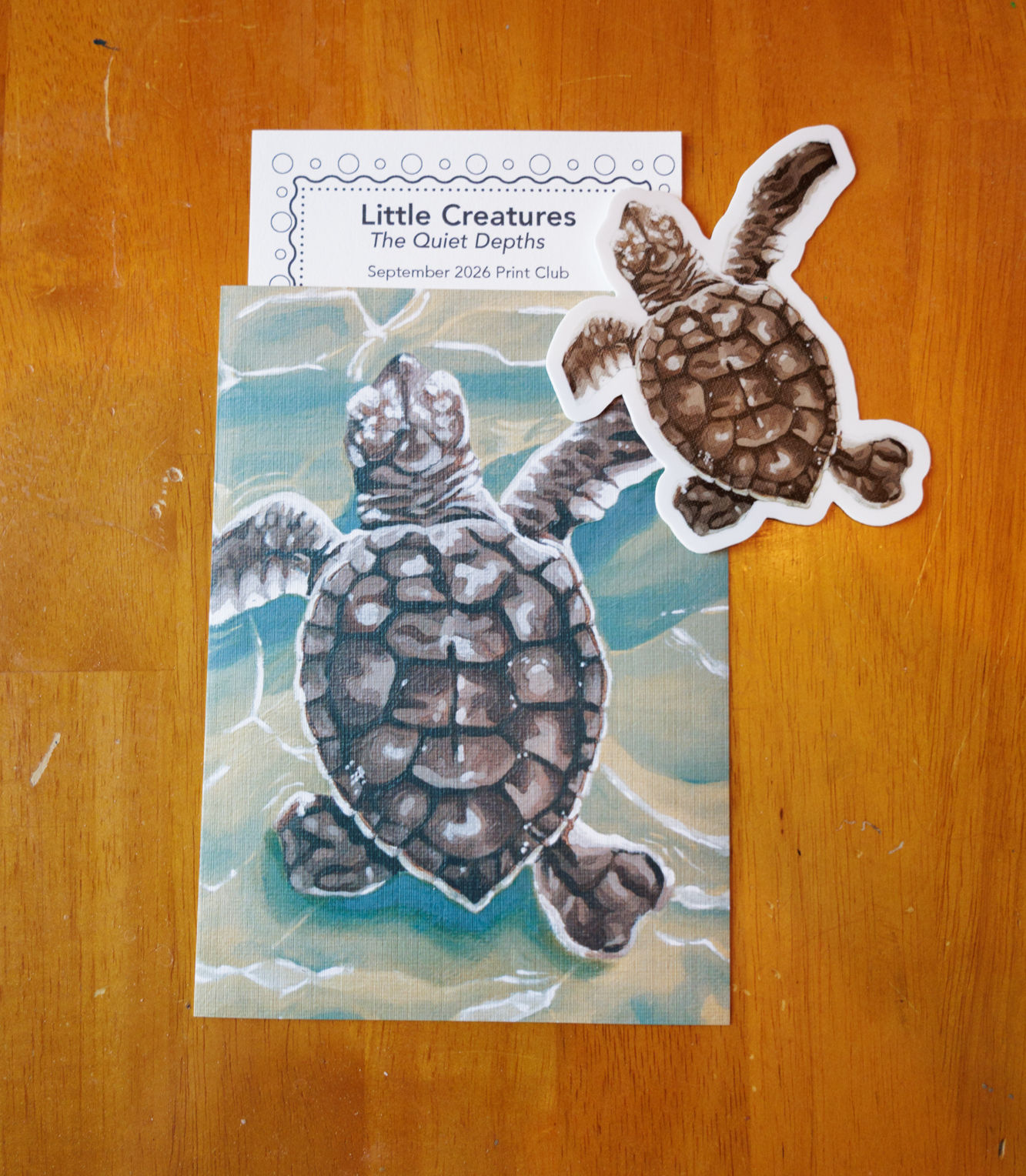 turtle print with turtle sticker and small letter
