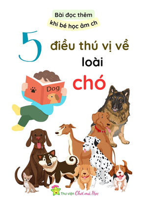 Bài Đọc Thêm💡Bé Học chữ ghép ch😊5 Điều Thú Vị Về Loài CHÓ 🐶