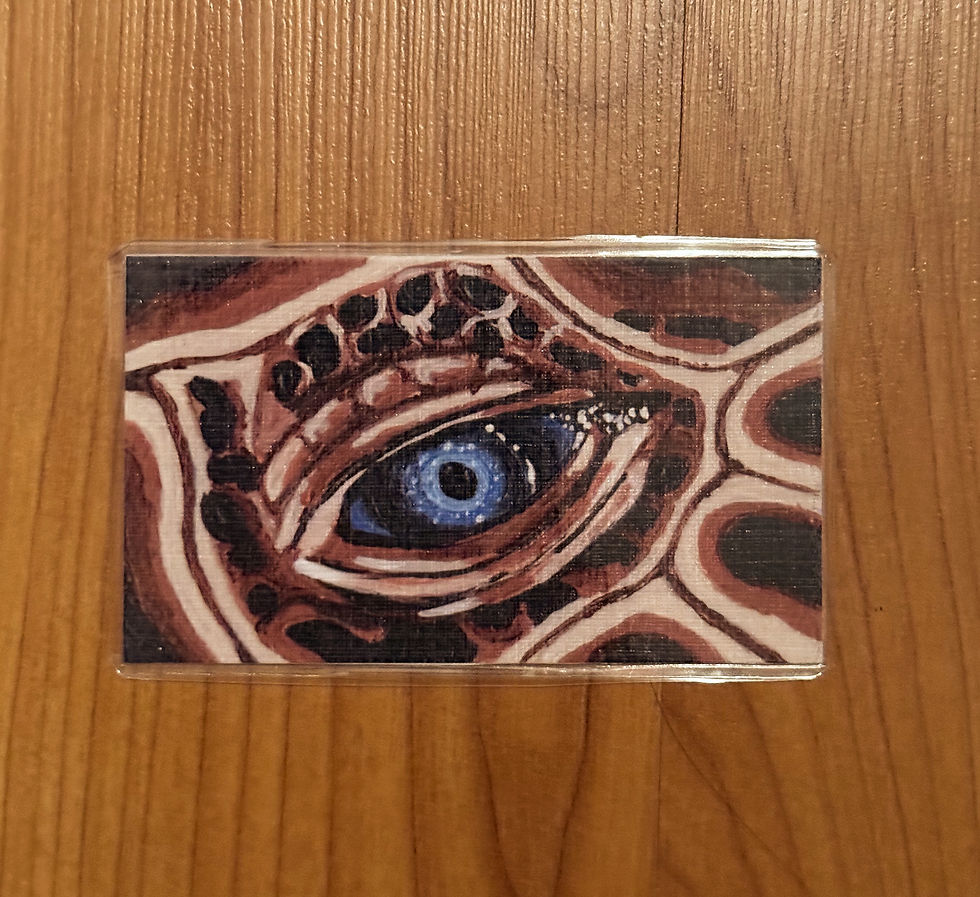 laminated mini print bookmark of a brown turtle with a blue eye
