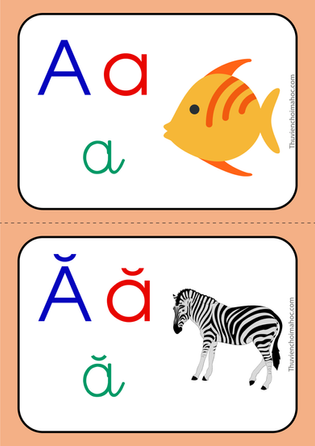 Bảng chữ cái tiếng Việt | Sách Kết Nối Tri Thức | Thẻ A5 | Fon tiểu học VN