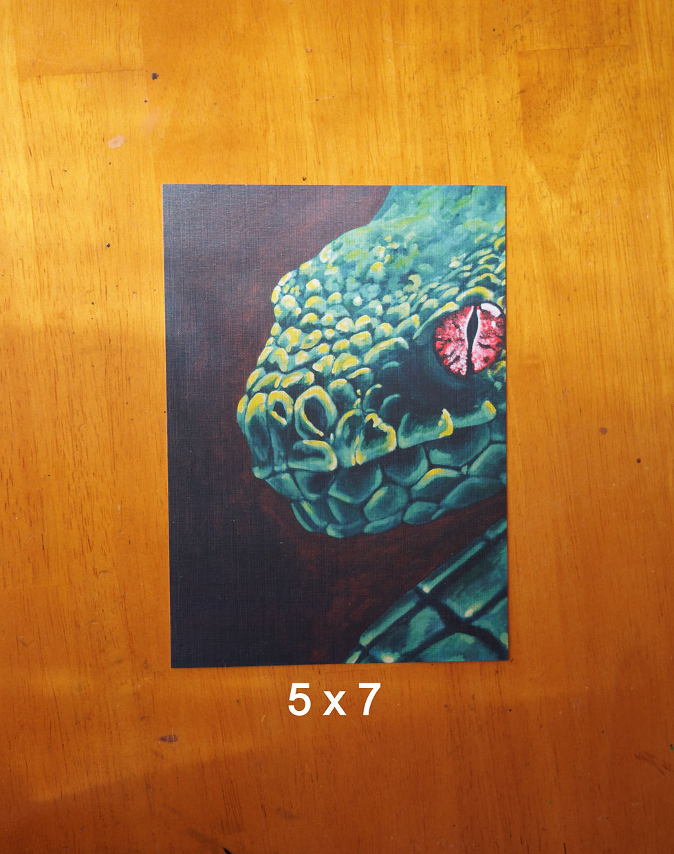 a green snake with a red eye on a brown and black gradient background