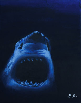A blue shark coming out of the darkness.
