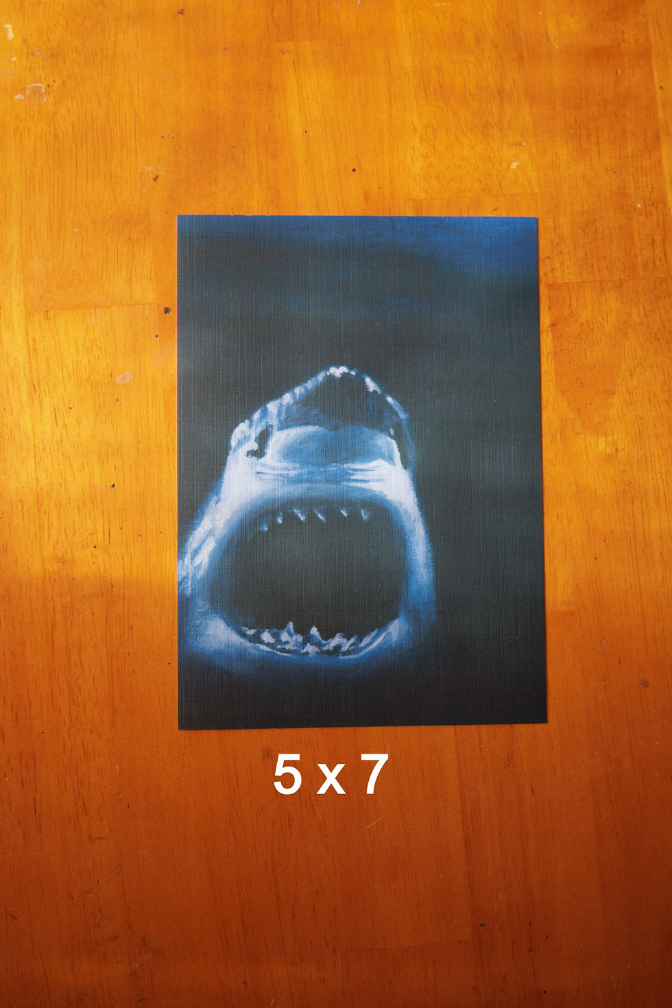 blue shark coming out of the darkness