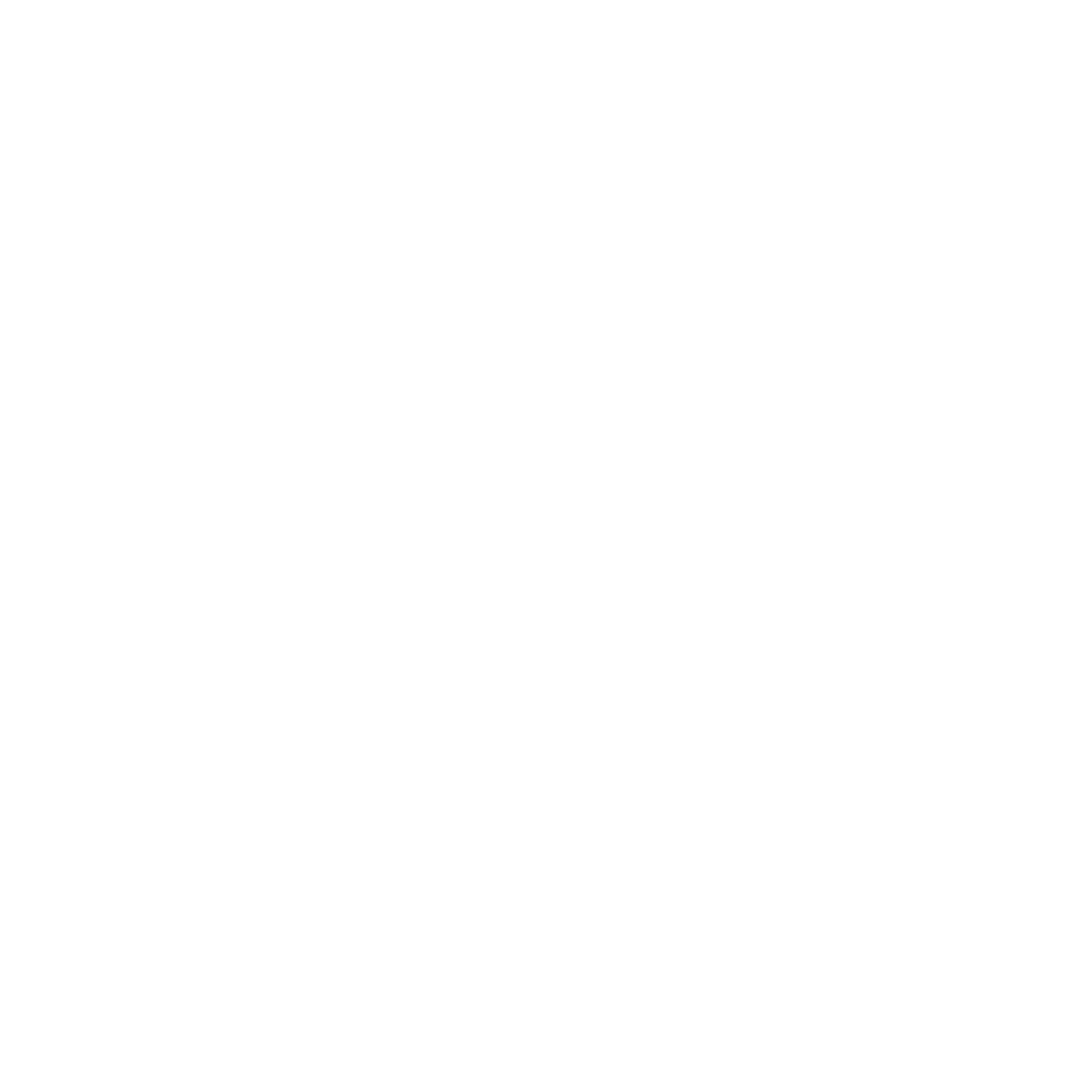 White Moth Company Logo 
