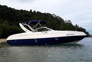 Alegro1.jpg