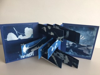 Cyanotype book