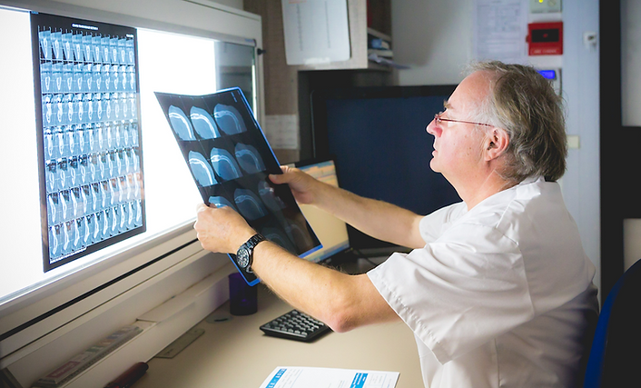 Sp cialisations Radiologie N mes Radiologie Anim Sp cialisations Radiologie N mes Radiologie Anim