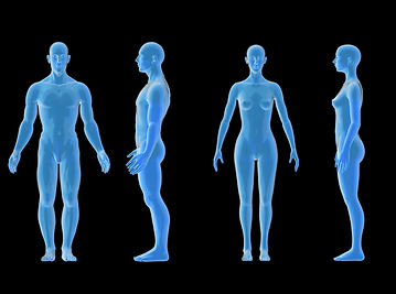 mesure de la masse musculaire - radiographie à Nîmes