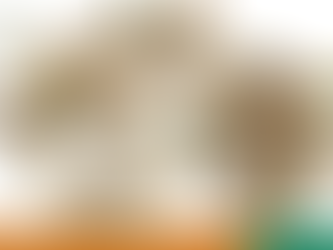 Giải thích tắc kê nở: Khái niệm, phân loại và ứng dụng thực tế