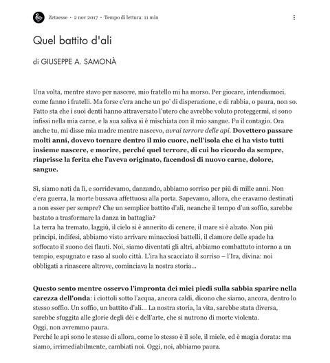diego ferrante, zetaesse, articolo di giuseppe a. samonà