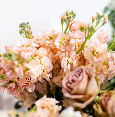 Screen Shot 2026-02-24 at 4.05.20 PM.png