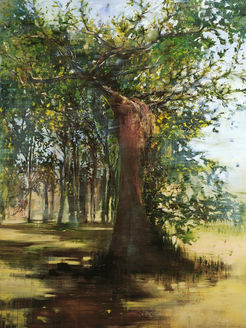 TOUMANIAN Guillaume 
